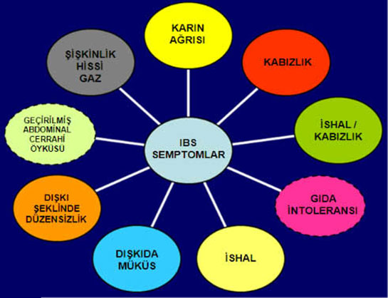 İrritabl Kolon Sendromu Belirtileri ve Tedavisi