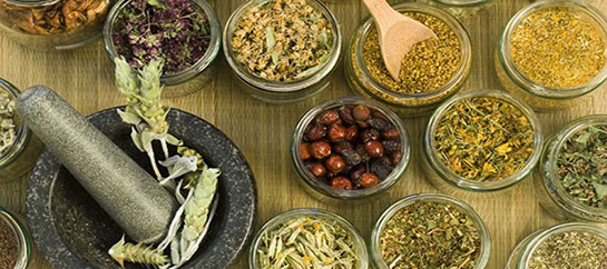 Kolon Kanseri Tedavisi Bitkisel